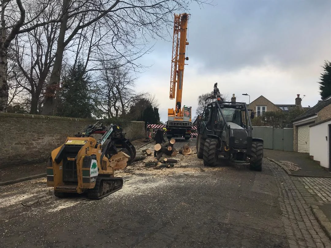 crane and forwarded in edinburgh