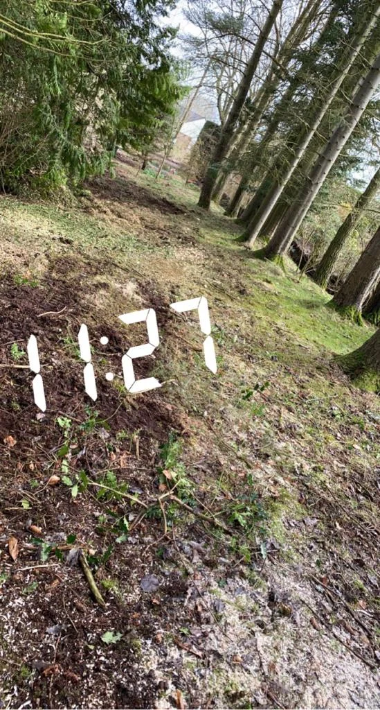 tree felling in ninemileburn.