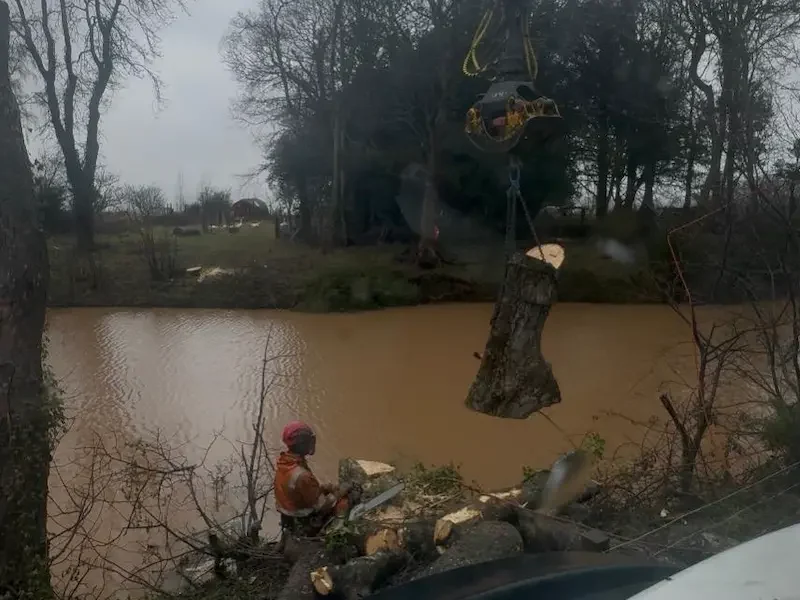 Crane lifting sections of timber