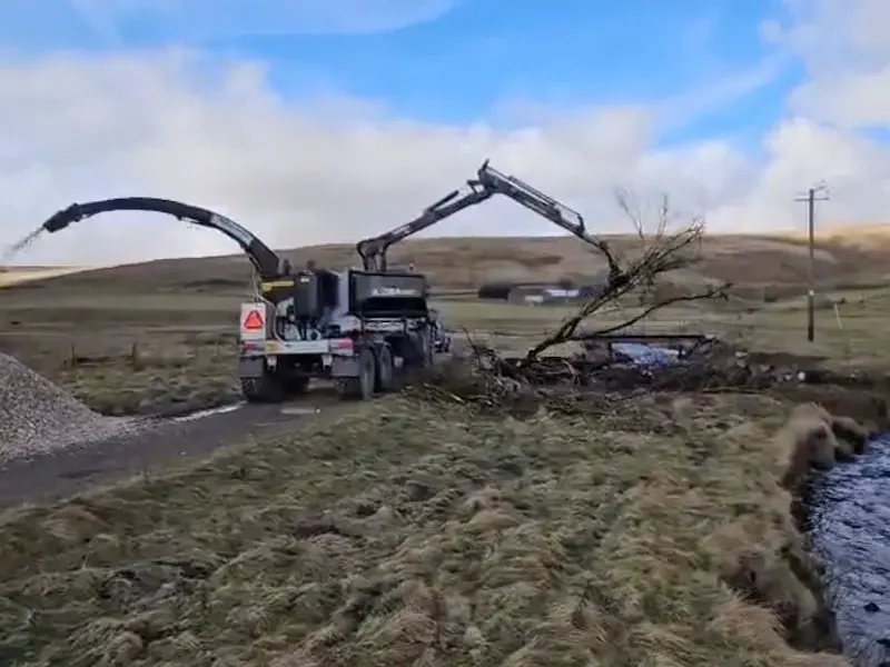 Felling trees and removing limbs with crane fed wood chipper