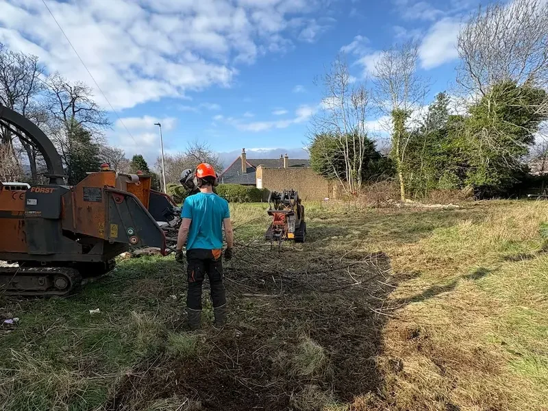 Site clearance and chipping of waste timber in Buckstone