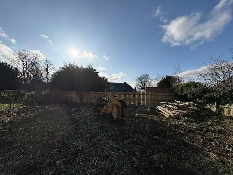 Stacking timber ready for processing into firewood