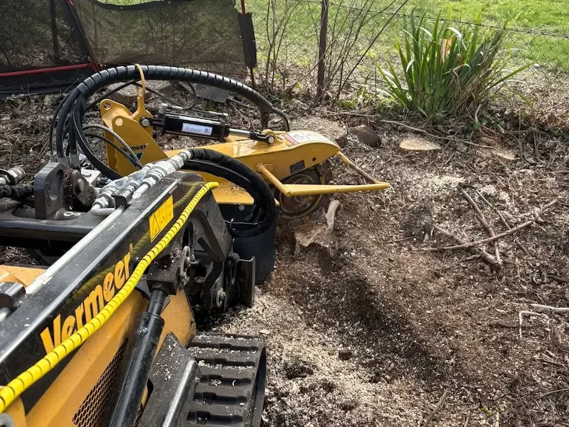 Stump grinding and removal of stumps below ground level