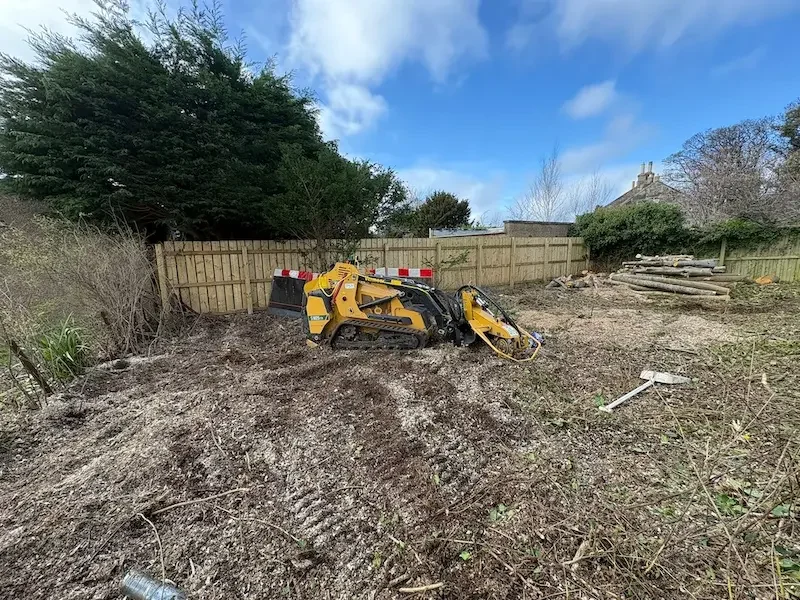 Stump grinding in Buckstone with large tracked stump grinder