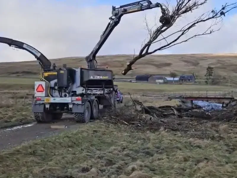 Tree felling services in Leadhills