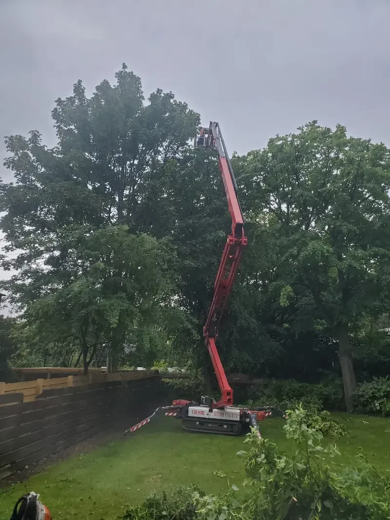 Expert sensitive reductions in Portobello using MEWP access platform
