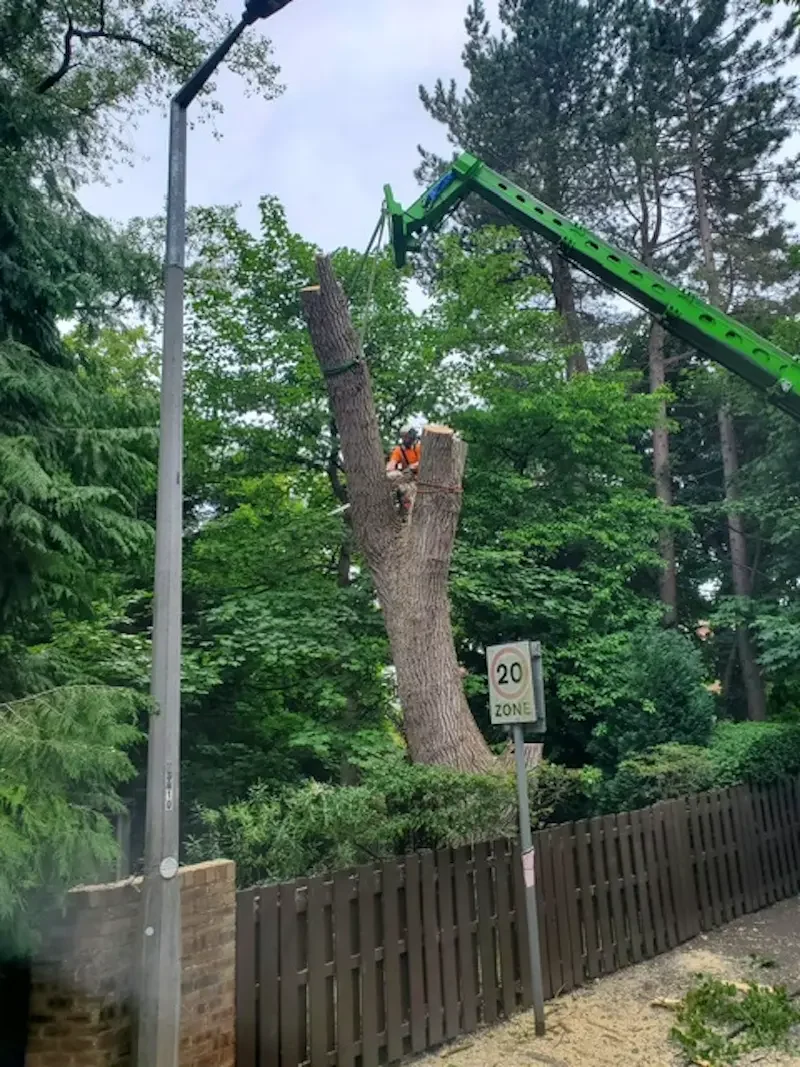 Lifting large sections of stem using telehandler